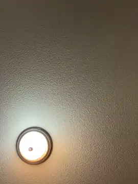 James816 Live Webcam on Stripchat