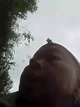 vangle73 - VangLe73's free webcam - UK Sex Cams