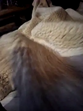 ludowrss - Ludowrss's free webcam - UK Sex Cams