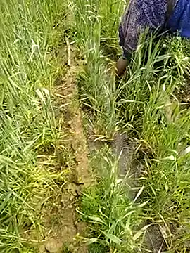 hornycouple20000 – webcam model profile photo