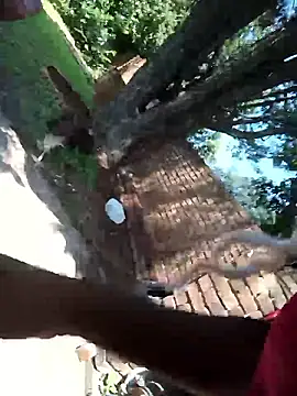 shynaughtybabe - ShyNaughtyBabe's free webcam - UK Sex Cams