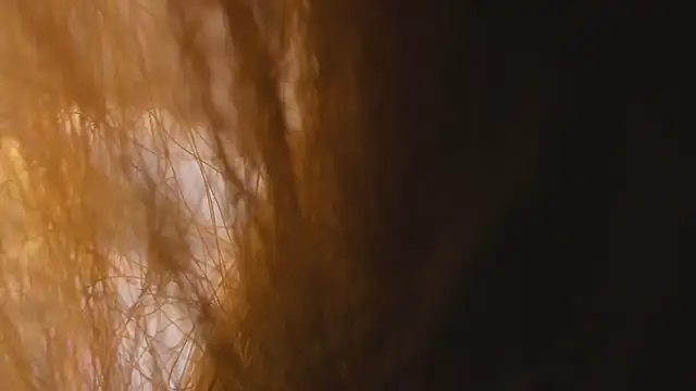 PerlaPreciosa webcam