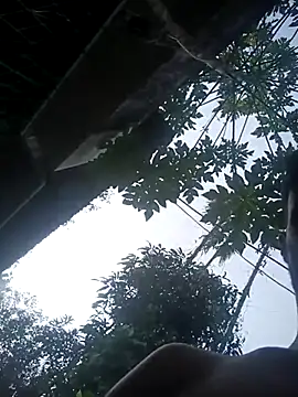 stripchatassam93 (Ask my age) - I give my whatsApp numbar