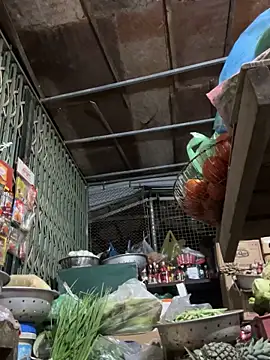 yanina120 - YANINA120's free webcam - UK Sex Cams