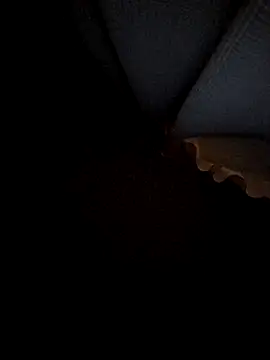 ORIANNA_BODMOD webcam