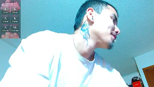 Hgp3riodictabl3 webcam