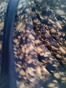 Webcam Model (Queen_chayna)  is live.Free join now!