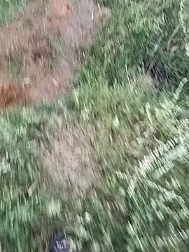 dolphiinn (M young) - 💕 🕊️🕊️..Naked.. 🕊️ 🐐 .🦚 🦚 🦚 💕