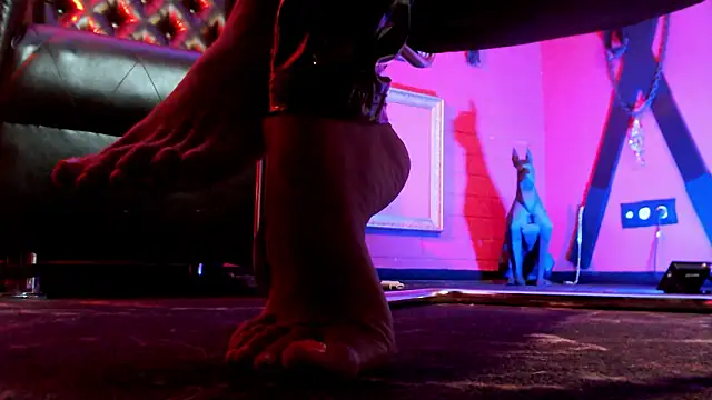 monicamaxwel - MonicaMaxwel's free webcam - UK Sex Cams