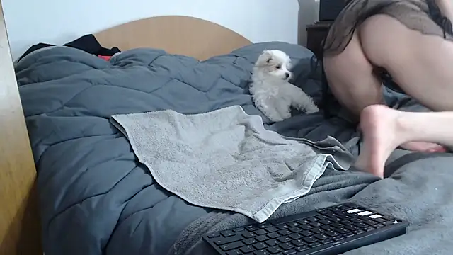 missydior8 - MissyDior8's free webcam - UK Sex Cams