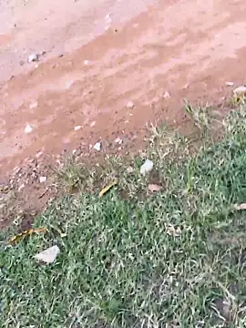 Black-mamba-madingo webcam