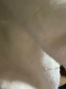 an-an19 - An-An19's free webcam