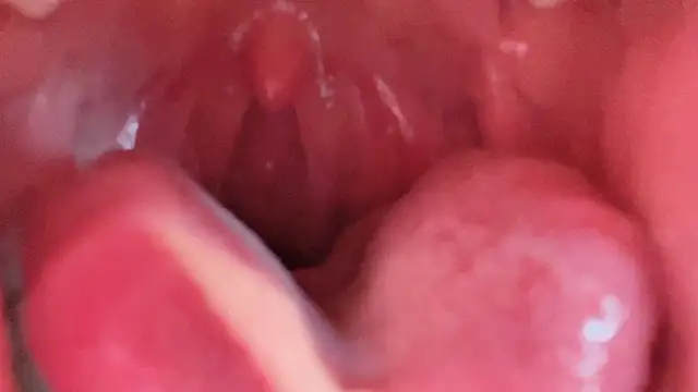 美女LT-333在线直播