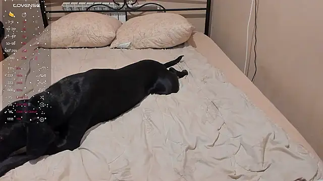 eva_zero (F young) - play with boobs