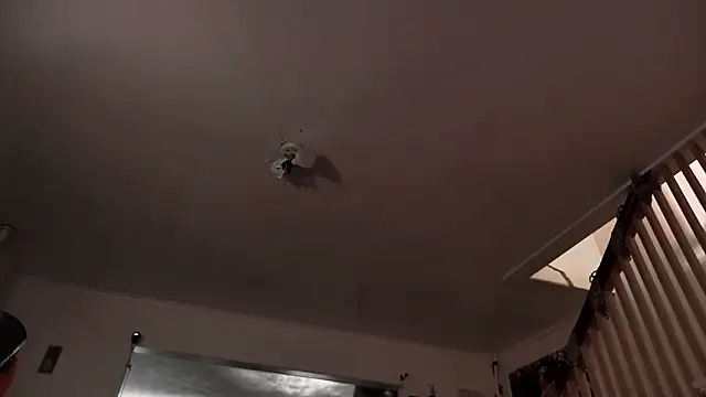 MasterDaddyCool webcam