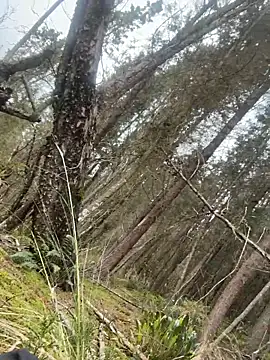 black_leon - Black_leon's free webcam - UK Sex Cams