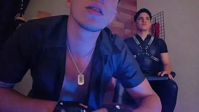 AngeloandEdward webcam