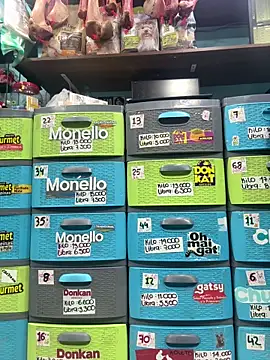 lucy_699 - Lucy_699's free webcam