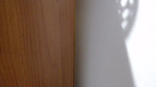 pamela-stripx - Pamela-StripX's free webcam