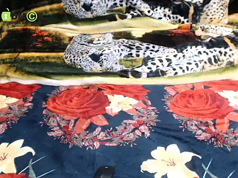 queen_sarah - Queen_Sarah's free webcam