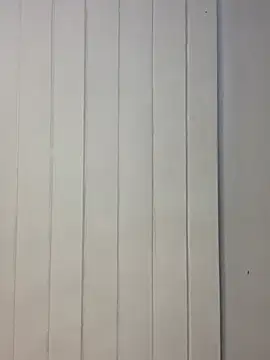 phatbunns - PhatBunns's free webcam