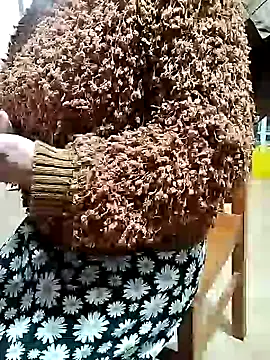 zane_natha - Zane_Natha's free webcam