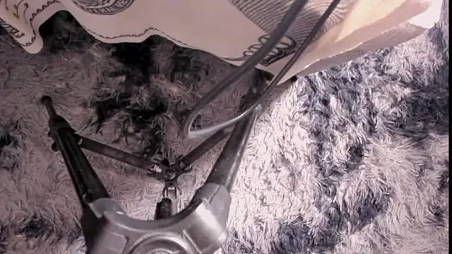 zyzz1312 - ZYZZ1312's free webcam