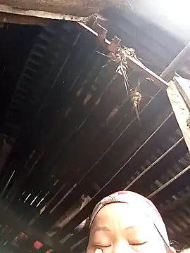 -heli- - -Heli-'s free webcam