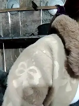 out-lustt - Out-lustt's free webcam