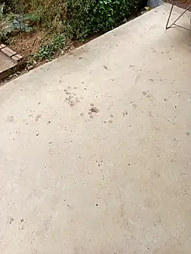 happy_sweet1 - Happy_sweet1's free webcam