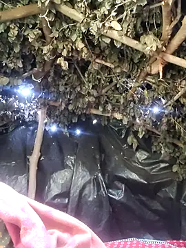 babita_gori - Babita_Gori's free webcam