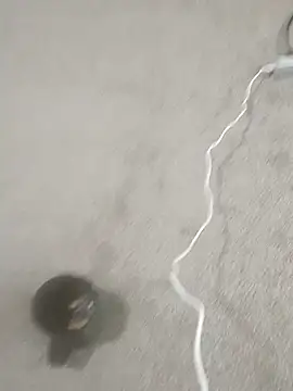 slutbunn (Ask my age) - 50