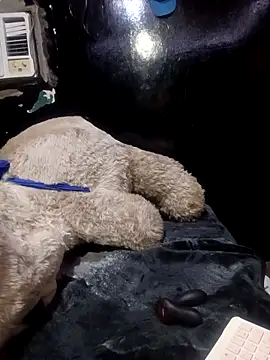 ale21-345 (M young) - Tk