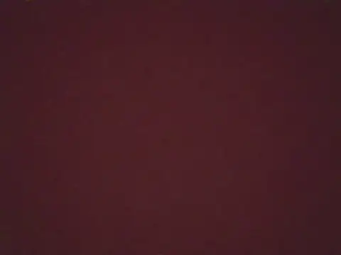 dioniskallos6 (M young) - 100