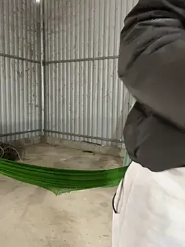 susin-beo - Susin-beo's free webcam