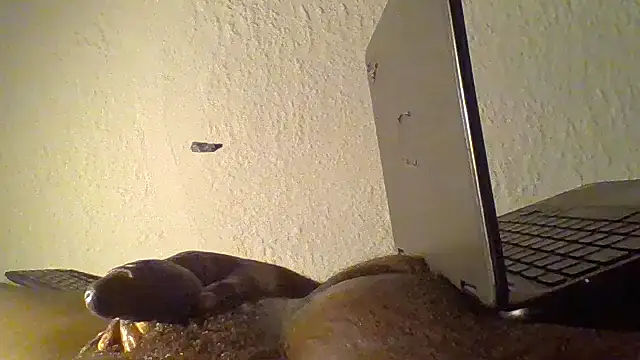 jezone555 (Ask my age) - [fav]New goal (More sweet _talking ).