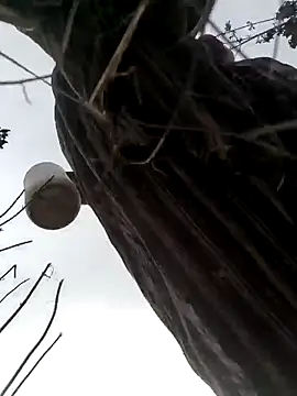 hot_raaani - Hot_raaani's free webcam