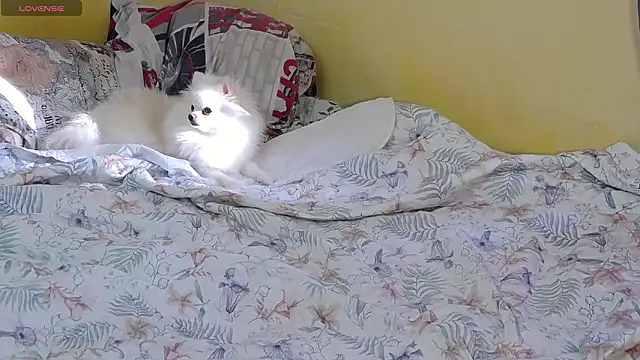 cindyjonson - CindyJonson's free webcam