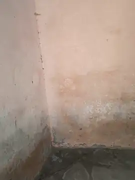 pooja_bhabhi00 - Pooja_bhabhi00's free webcam