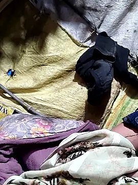 bhavna8080 - Bhavna8080's free webcam