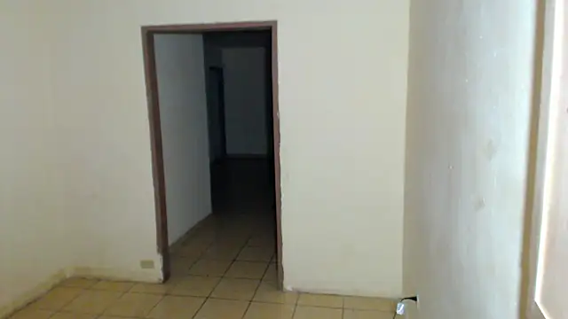 blondzilla (M young) - #american #big-ass #big-cocks #bisexuals #blondes #cam2cam #cheap-privates #cock-rating #cuckold #hairy-armpits #hd #masturbation #muscular #oil-show #recordable-publics #small-audience #spanking #sph #striptease #white #young