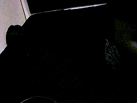 honeypotsweet webcam