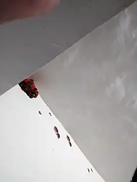 kaamuk_madhu - Kaamuk_madhu's free webcam