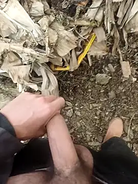 sikici0734 (M young) - 95