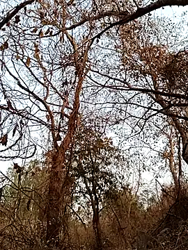 sahilcute1 (M twink) - Full nude with Anal figuring