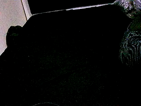 honeypotsweet - Honeypotsweet's free webcam