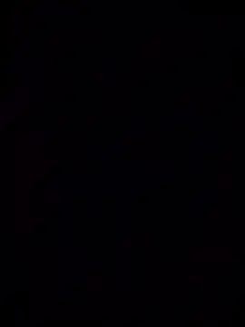 TrebleShebeen webcam