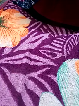 DaringStage73 webcam