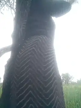 diksha_for_you (F teen) - Mobile