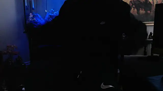 Preview of espanolvato